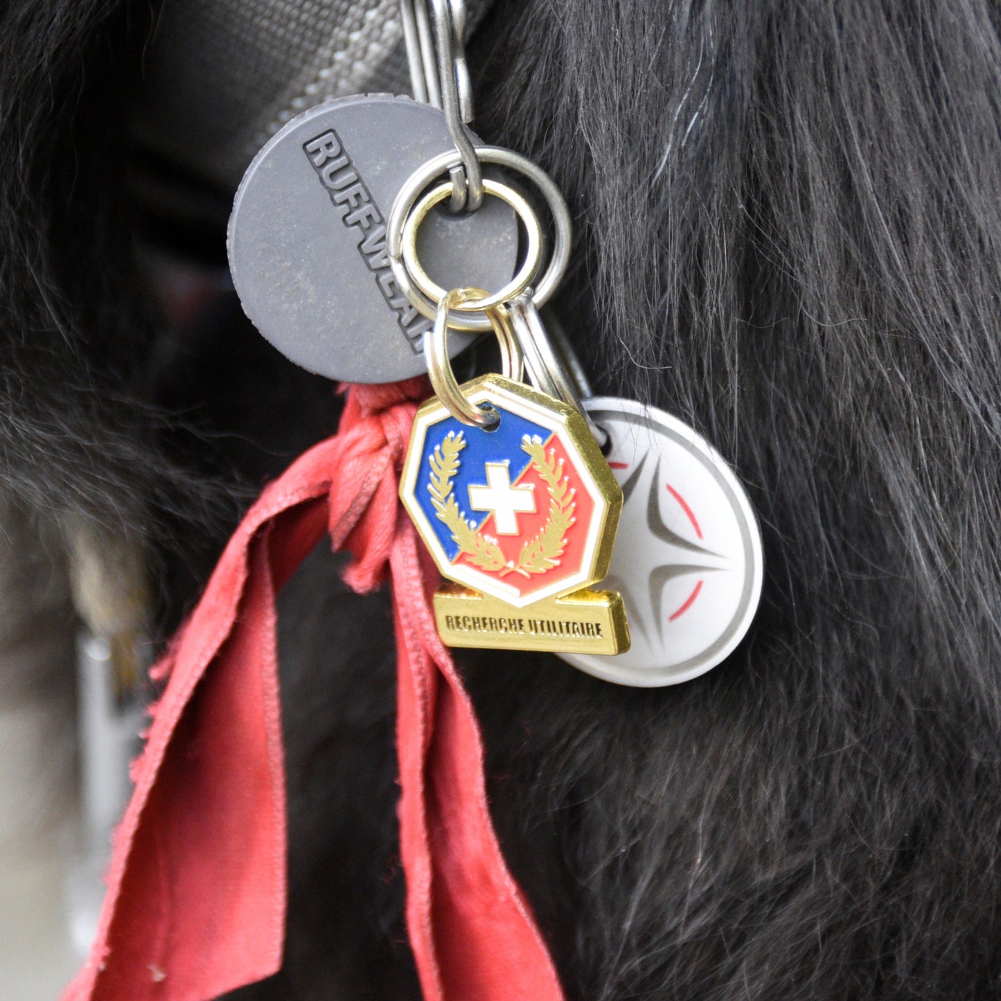 Medaille Chien Recherche Utilitaire