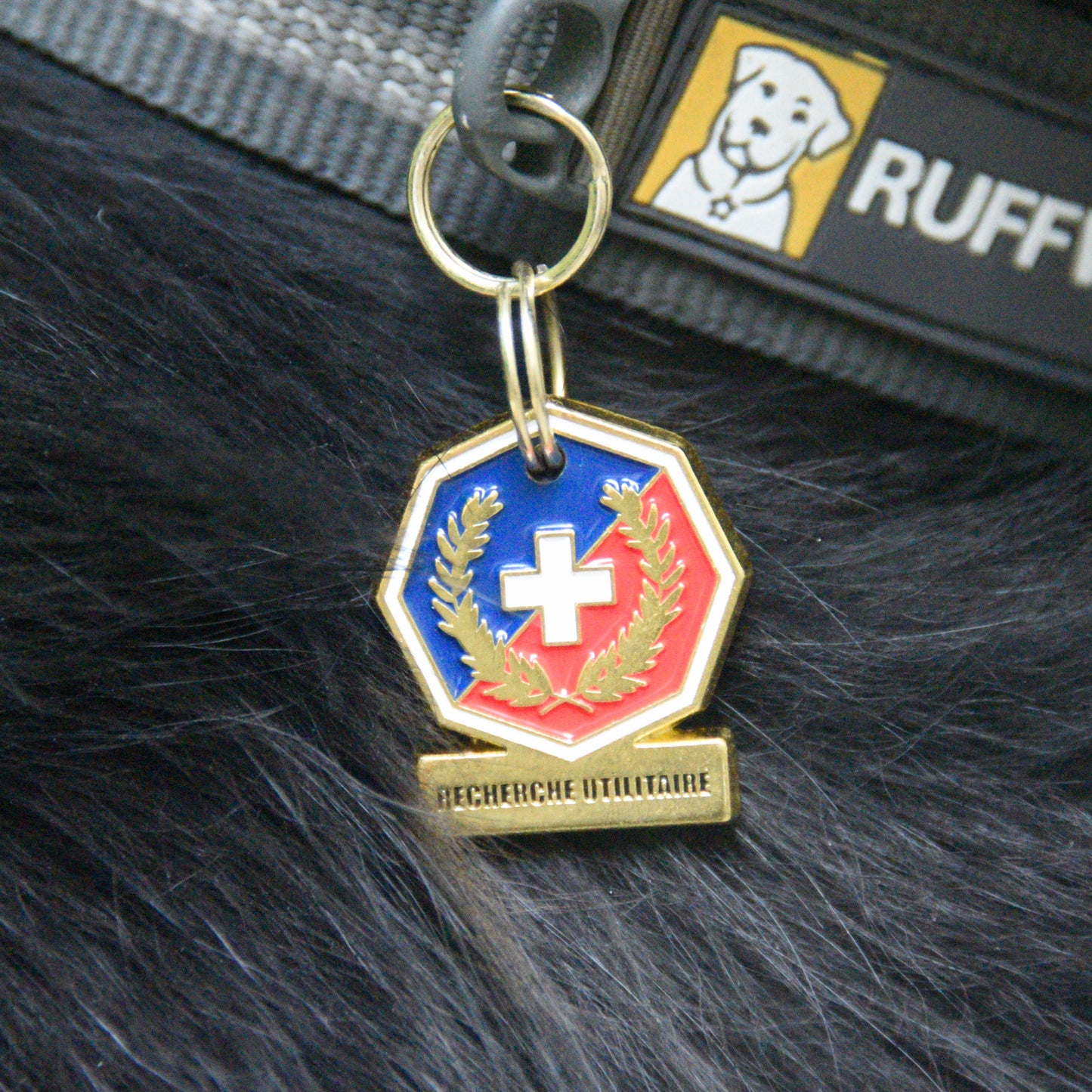 Medaille Chien Recherche Utilitaire