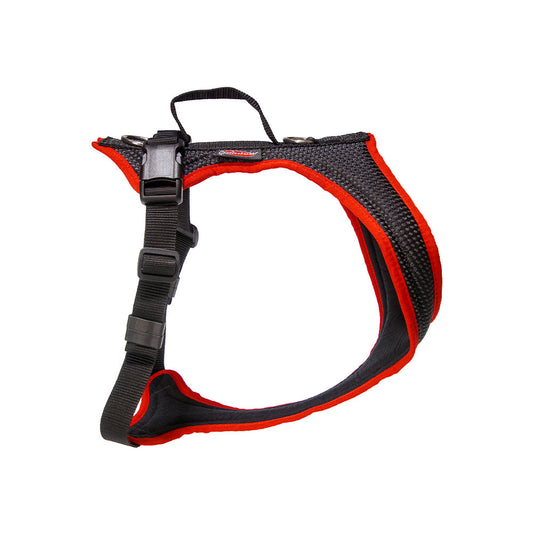 Grossenbacher Harnais Dog's Fun Run Standard