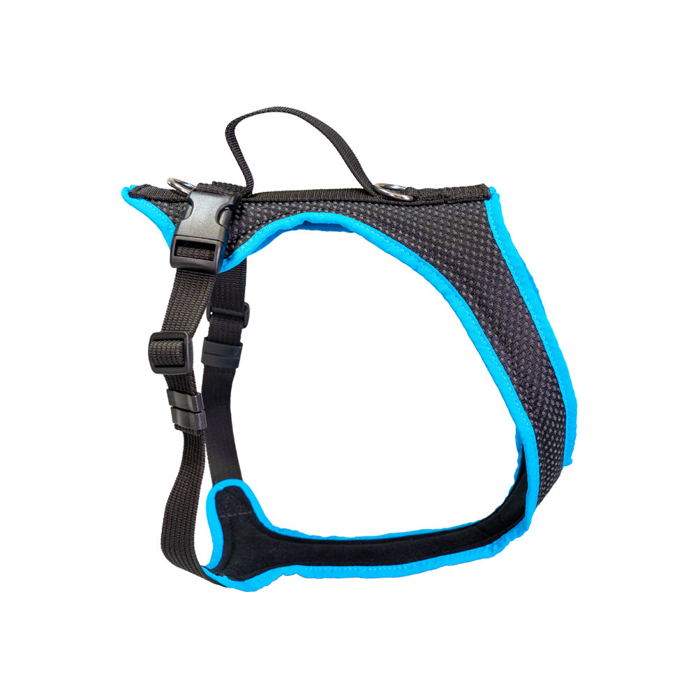 Grossenbacher Harnais Dog's Fun Run Standard