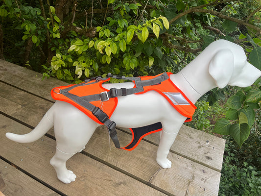 Grossenbacher Harnais V Mantrailing Recherche Utilitaire Orange-Orange reflex