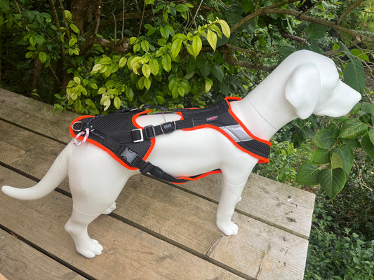 Grossenbacher Harnais V Mantrailing Recherche Utilitaire - poulie et corde - Noire-Orange reflex
